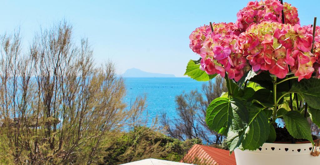 Puntaquattroventi Ξενοδοχείο Ερκολάνο Εξωτερικό φωτογραφία